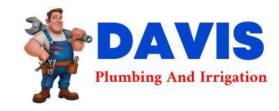 Trusted plumber in PILOT POINT